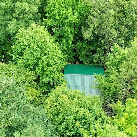 Couples Getaway Cabin Near National Park W Hot Tub Pigeon Forge Exterior photo